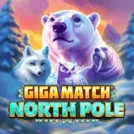 Giga Match North PoleRubyplay game icon